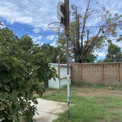 Free Basketball Hoop