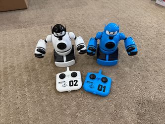 Fighting Robots