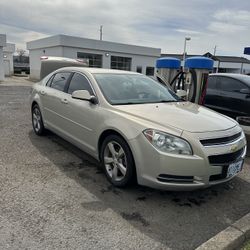 Malibu Lt