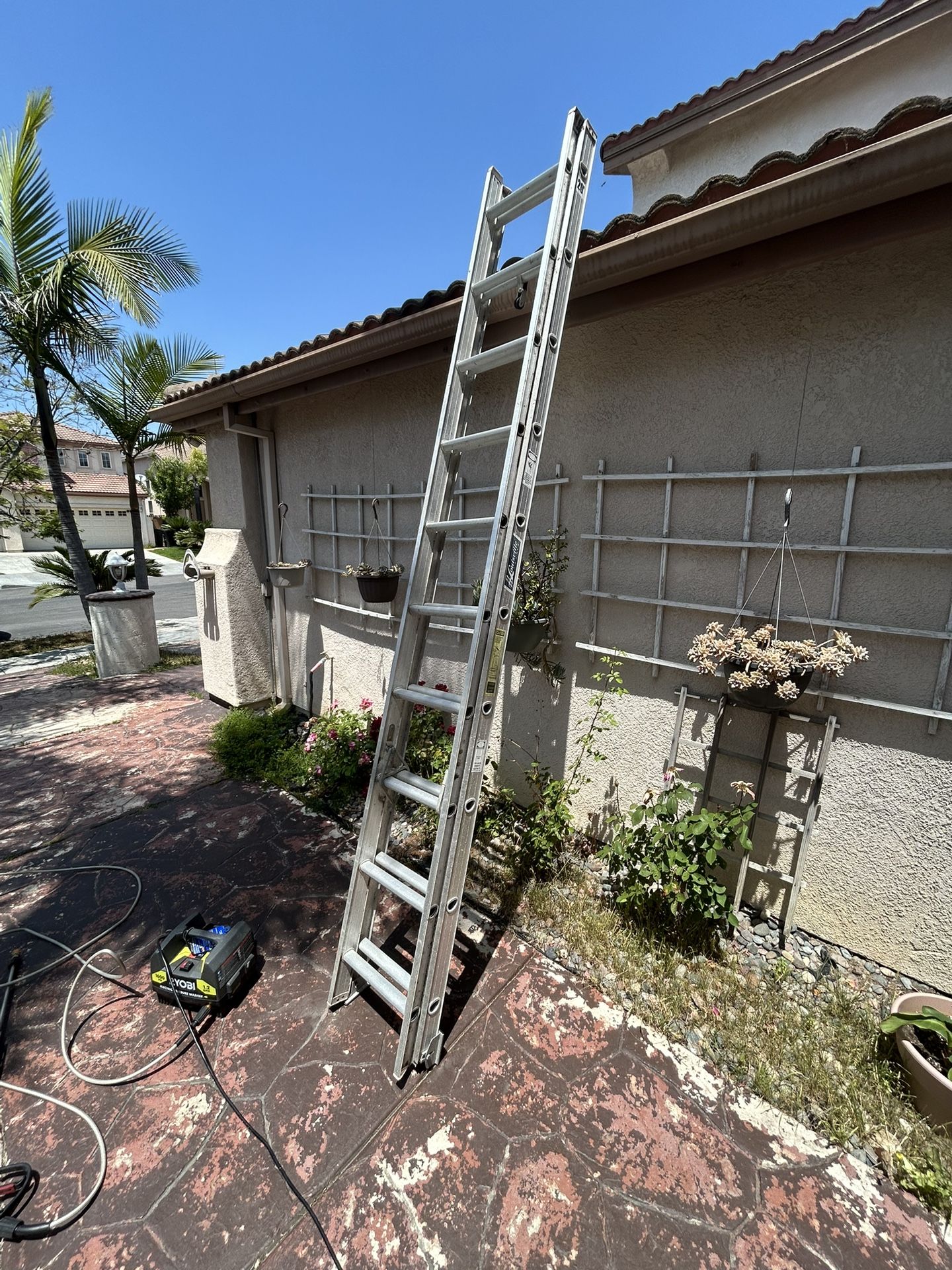 20ft Louisville ladder