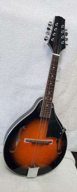 Mandolin Spruce Top, Maple Back and Sides Handmade NEW