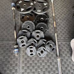 Olympic weights rubber coated 205lbs total plus curl bar and 7ft 40lbs bar