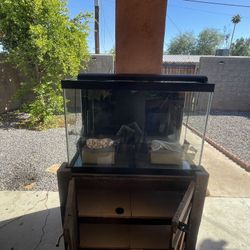 Fish Tank 65 Gallon With Stand 
