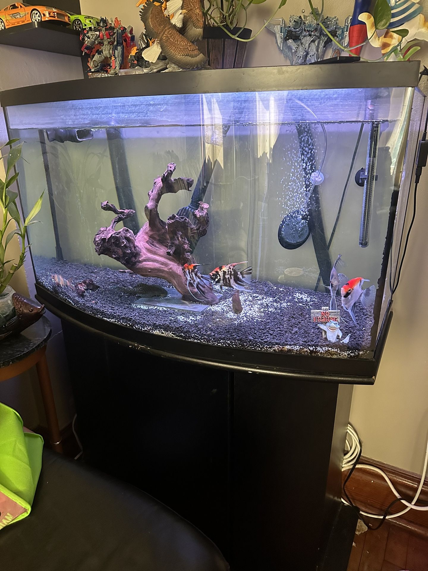 46 gallon bow front. Stand, aquarium for Sale in Chicago, IL OfferUp