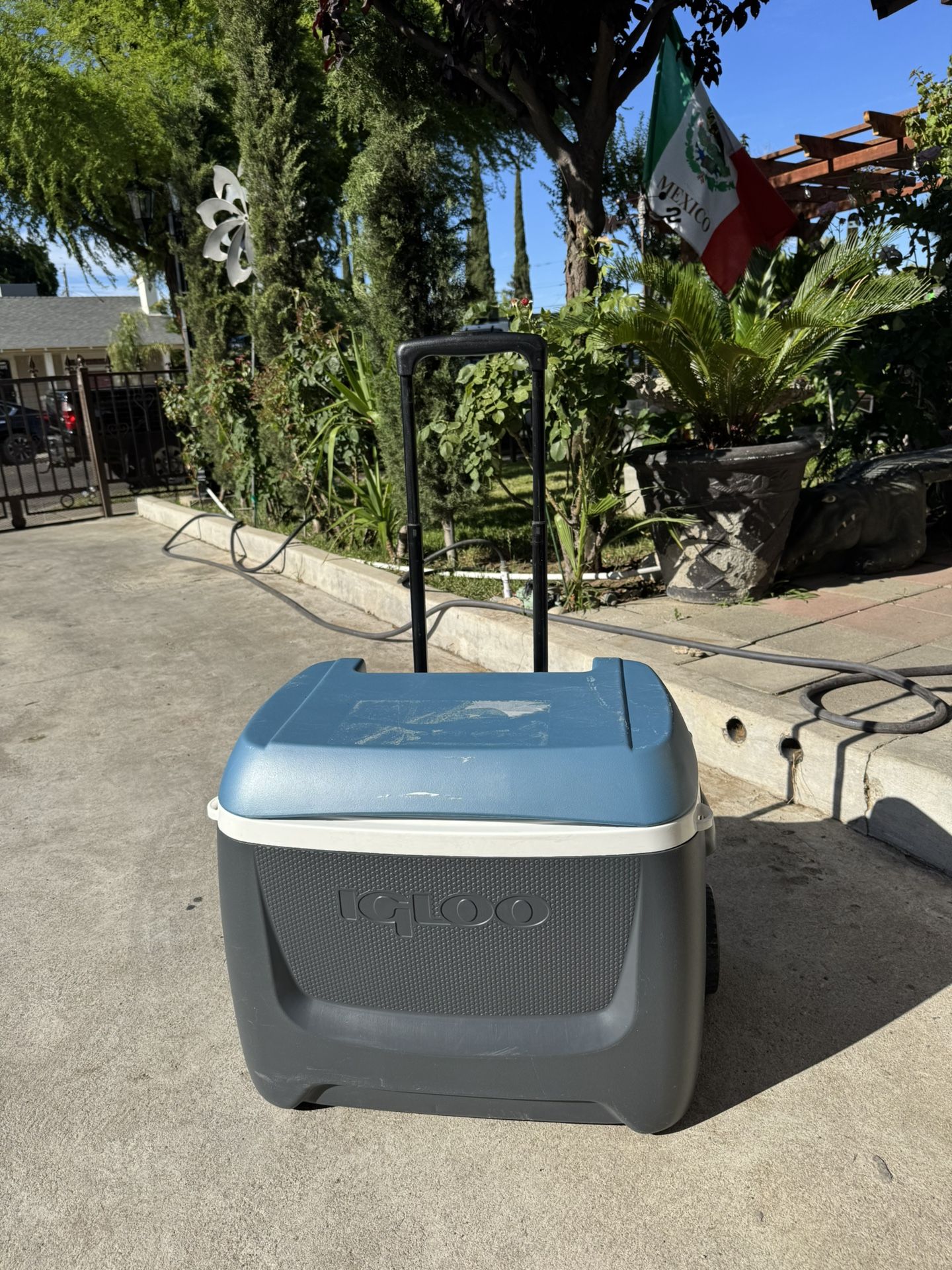 Igloo Ice Chest /Cooler