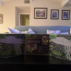 Pokemon Perfect Order 