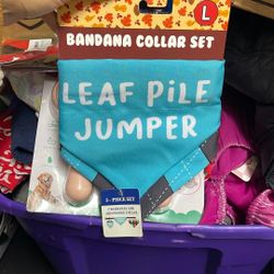 Collar Set Large For Dogs 