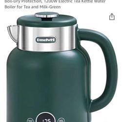 Electric Kettle  