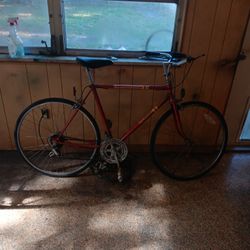 Western Auto 10 Speed Red In Color Rare Bike