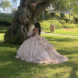 Rose gold Quince dress size M