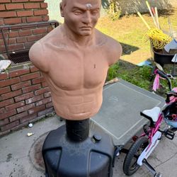 Century BOB Punching Torso