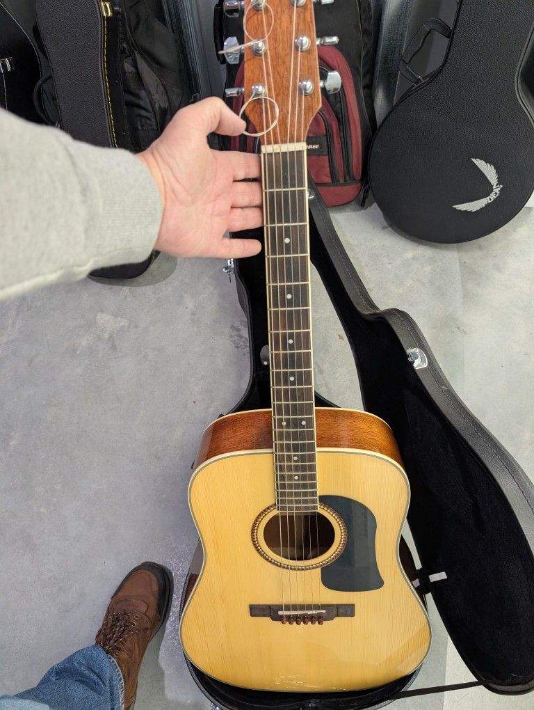 Washburn D10S 125th Anniversary Acoustic Guitar & Hard Case