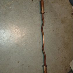 Olympic Curl Bar