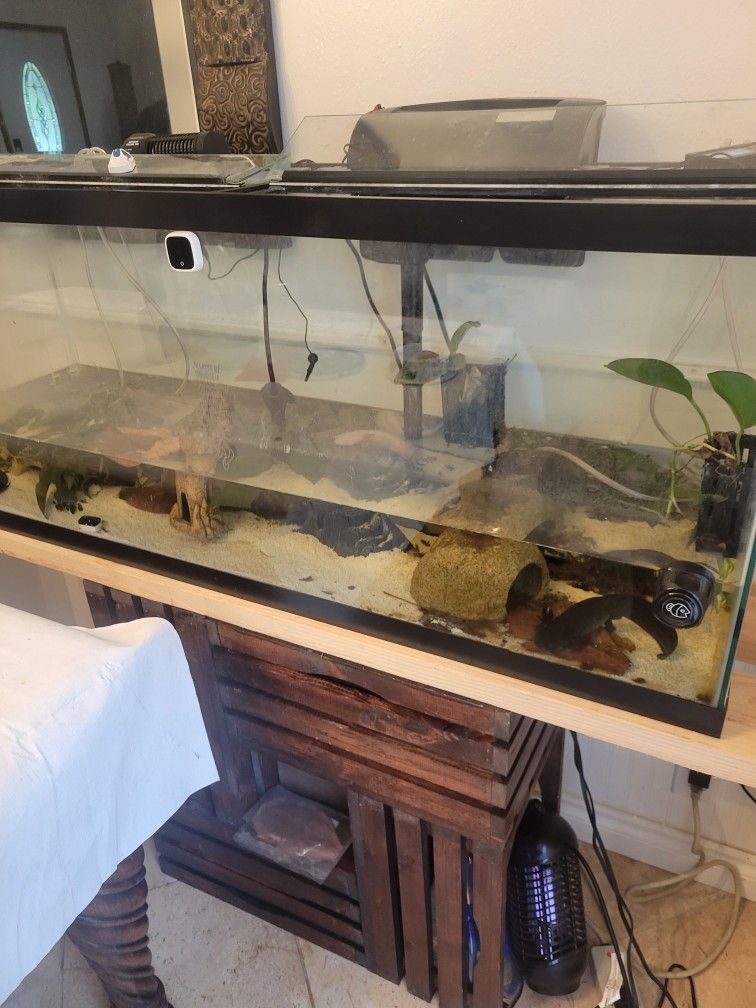 Fish Tank With Accessories