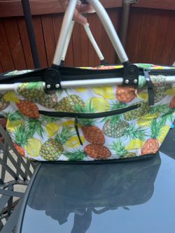 Collapsible Cooler