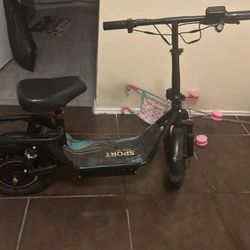 Electric Scooter 
