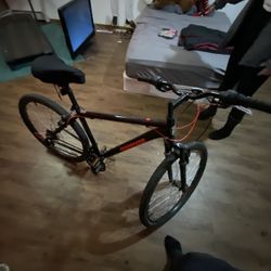 Mongoose Mountain Bike 