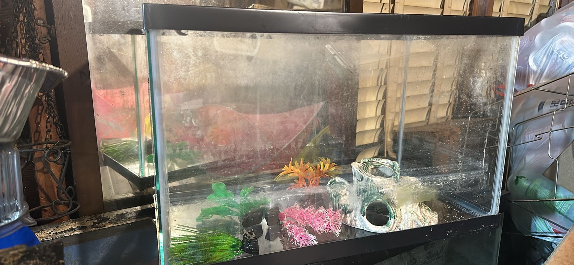 10 Gallon Tall Fish Tank