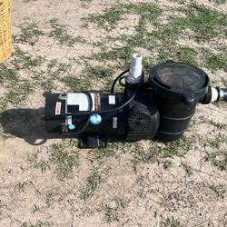 Blue Torrent Pool Pump 
