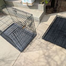 Large 2 Door Dog Kennels