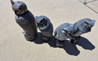 Realistic Decoy Owls with moving heads