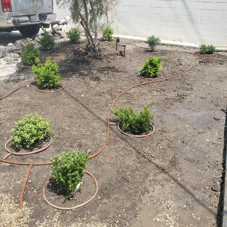 Irrigation Sprinklers