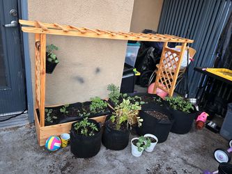 Wooden raise bed for plants