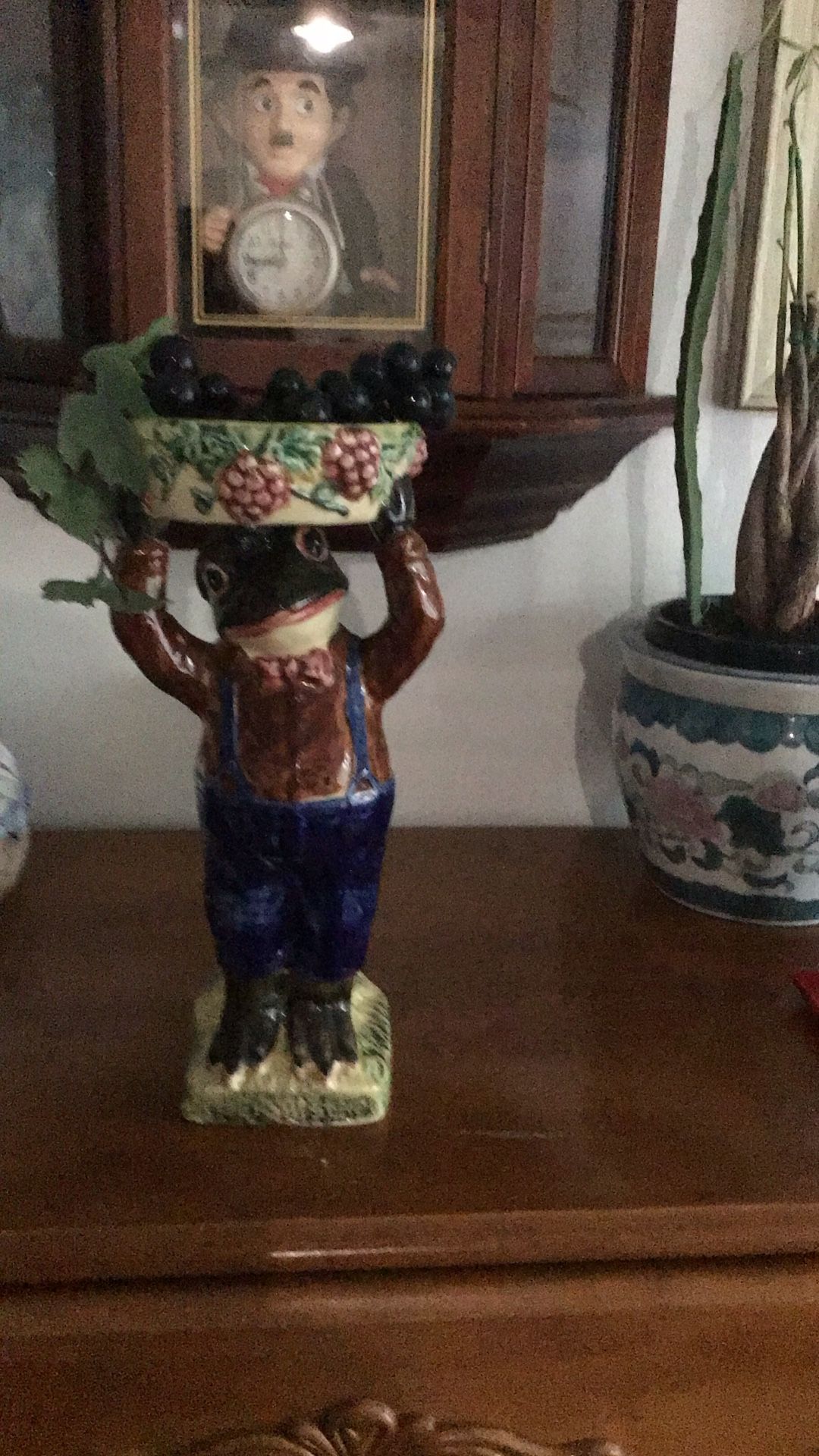 Rana Decoración 