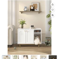 Cat Storage 