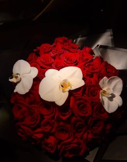 Flower arrangements