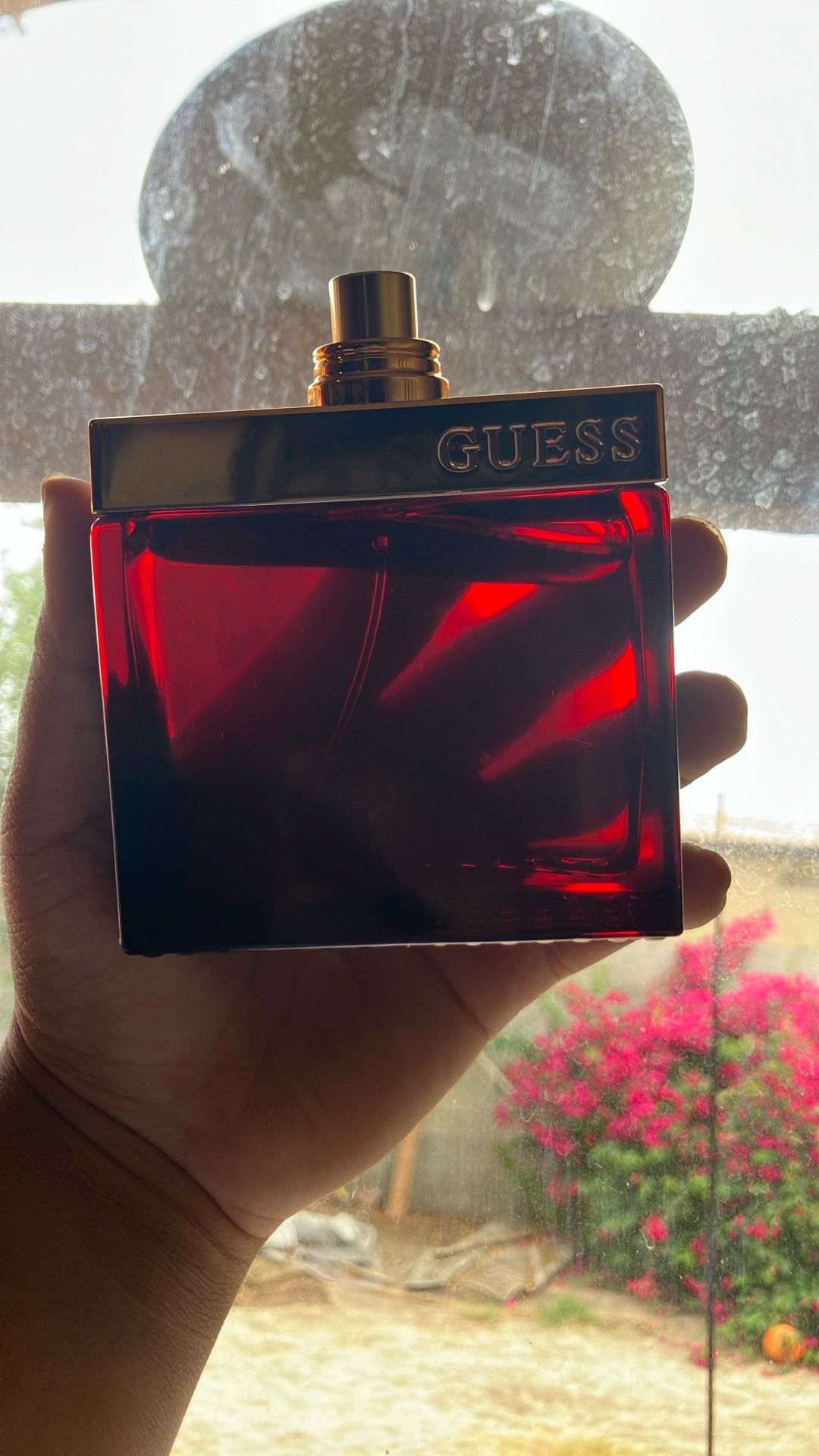 Guess Colones