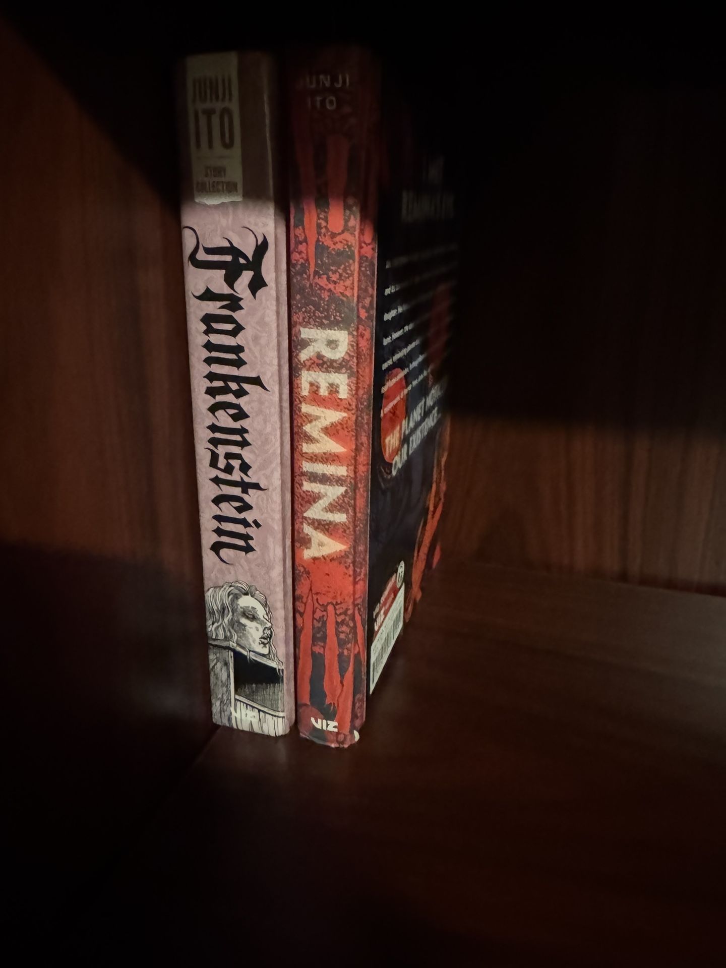 Frankenstein: Junji Ito Story Collection Hardcover/ Remina (Hardcover) By Junji ito