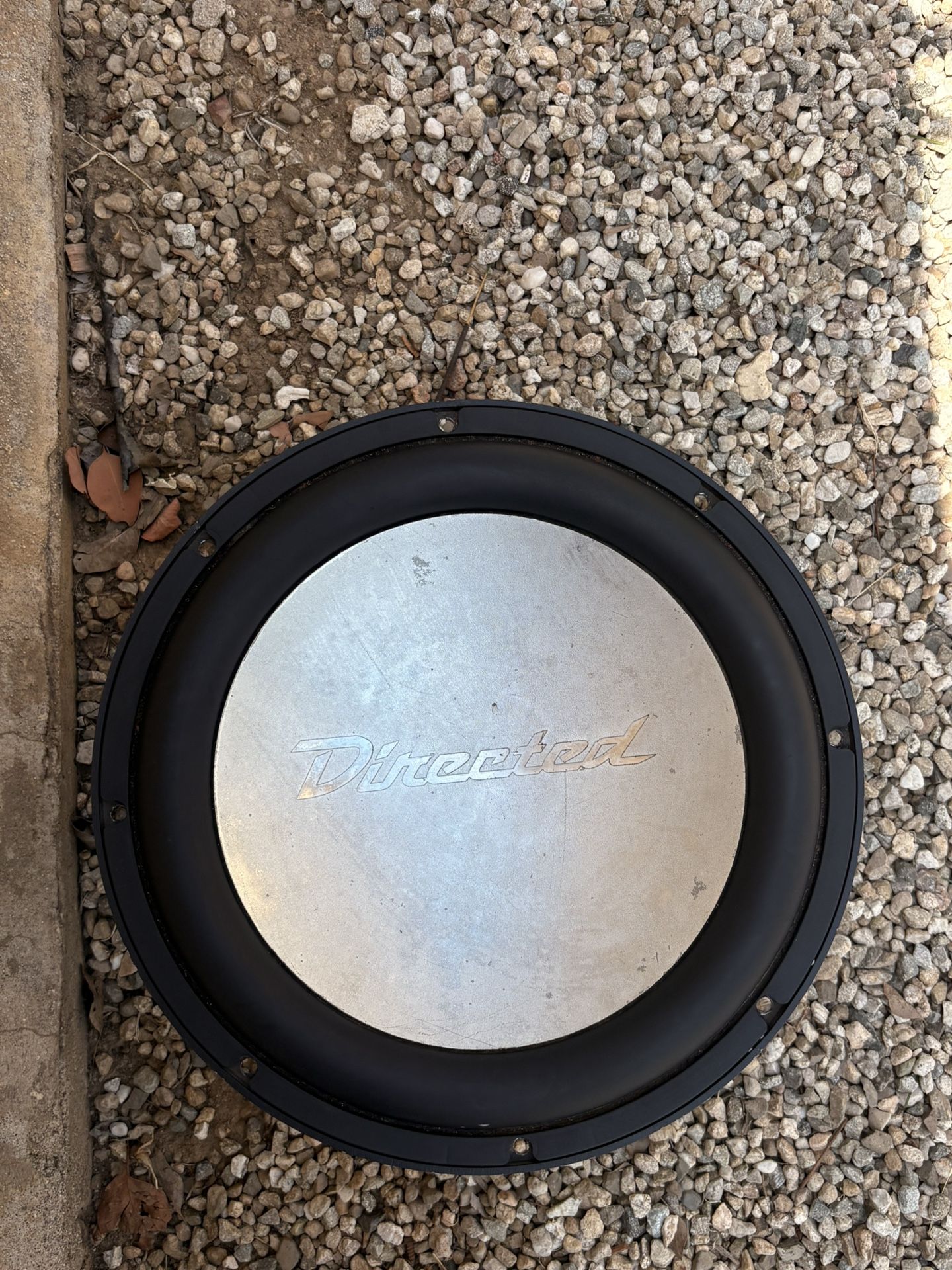 Directed SX 12" Subwoofer - Deep Bass, Serious Power