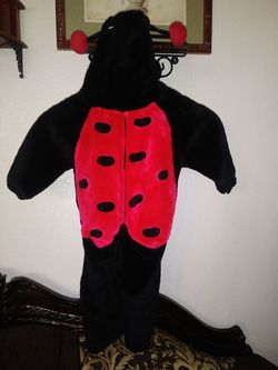 Ladybug costume