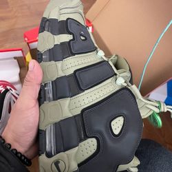 Nike Scottie Pimpin Shoes