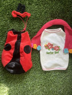 Lady Bug & Surfer Girl Costumes