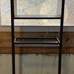 Dog Feeding Station