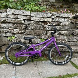 Kids 20” Bike - Rev20 Co-Op REI 