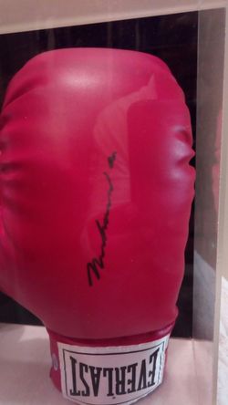 Authentic hand sighned Muhammad Ali Everlast boxing gloves has numbered certified hulagram