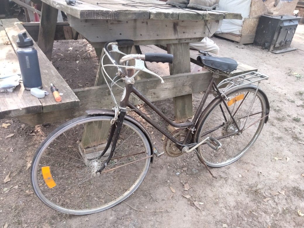 Vintage Shiwn Bike 