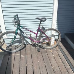 Bikes 
