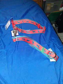 Dog leash and collar