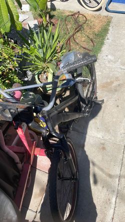 Schwinn mt cruiser rtr $45
