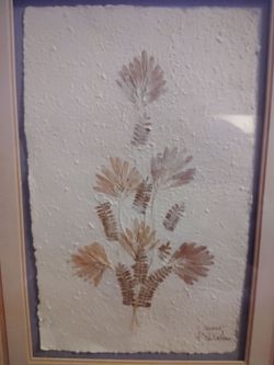 Vintage Pressed Flowers Tavaria St Paul de Vence
