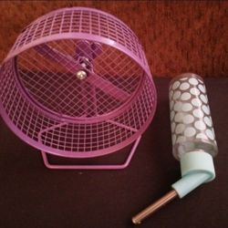 Hamster Wheel and Water Bottle