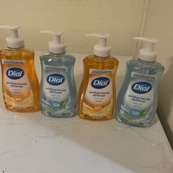 Dial Antibacterial Hand Soap 