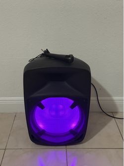 Ion Party Speaker