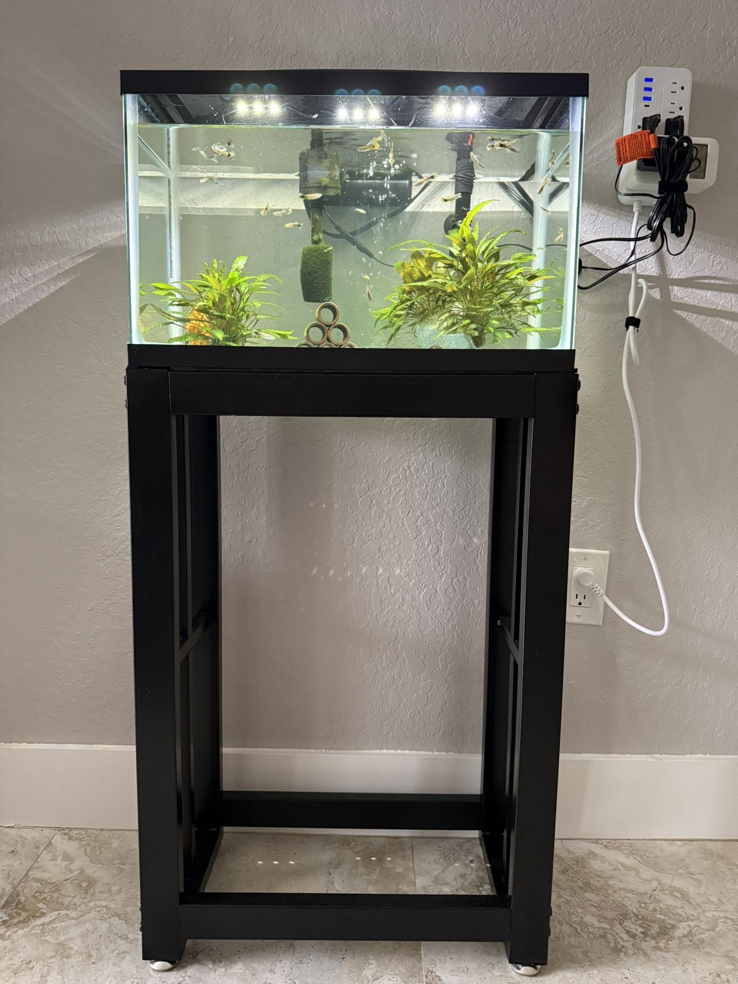 10 Gallon Freshwater Aquarium Setup - Fully Equipped