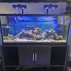 Fish Tank And Stand