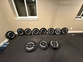 ROGUE ECHO BUMPER PLATES V2